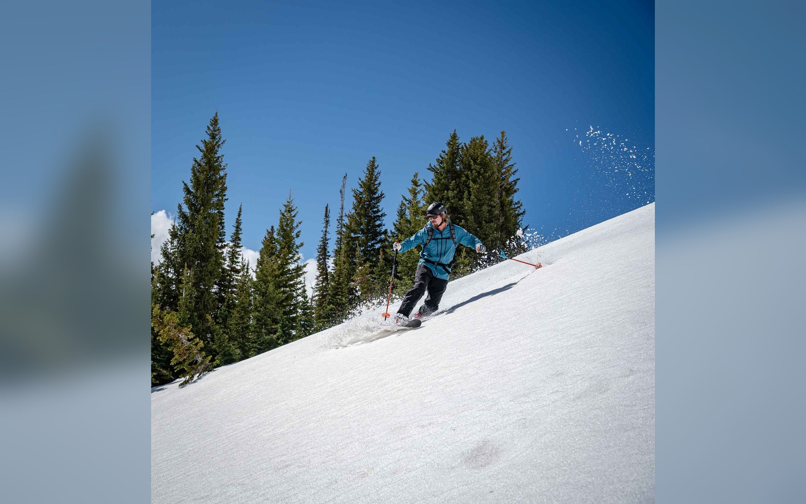 A skier carves down a snowy slope past evergreen trees under a clear sky